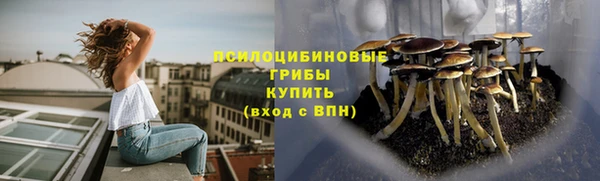 бошки Беломорск