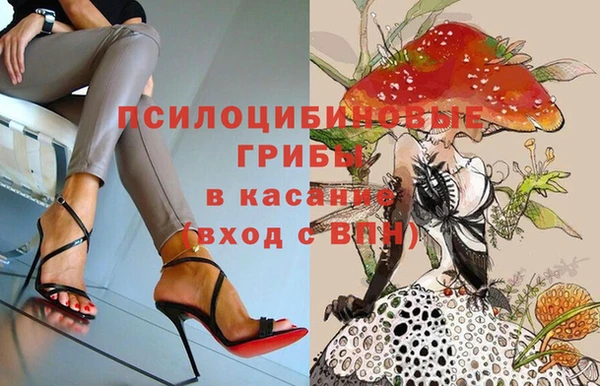 бошки Беломорск