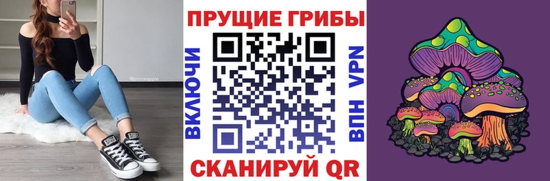 Псилоцибиновые грибы Magic Shrooms  продажа наркотиков  Вельск 